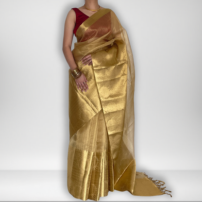 Golden tissue saree with intricate zari border, Work by Shobhangini. Luxurious golden saree, perfect for weddings and festive occasions.