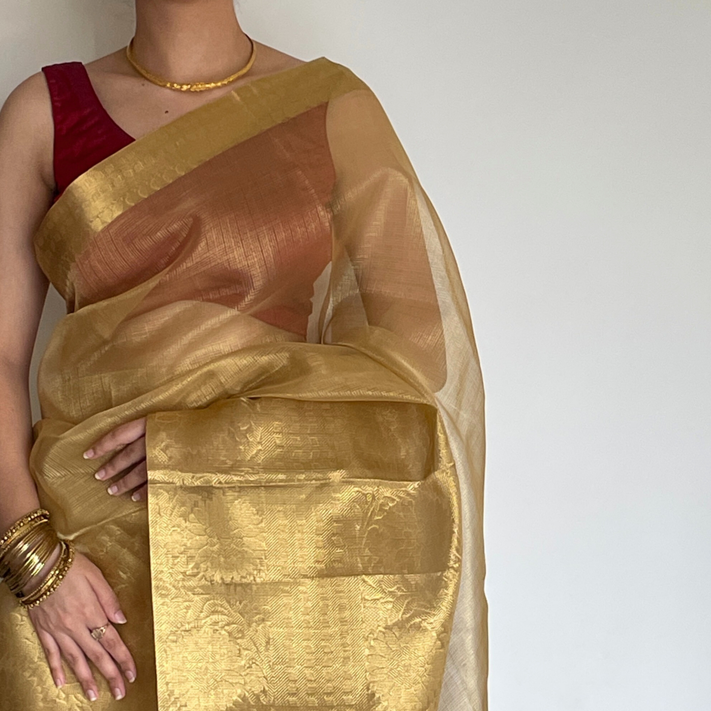 Golden tissue saree with intricate zari border, Work by Shobhangini. Luxurious golden saree, perfect for weddings and festive occasions.