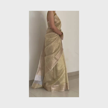 Mira | Crush Tissue Saree